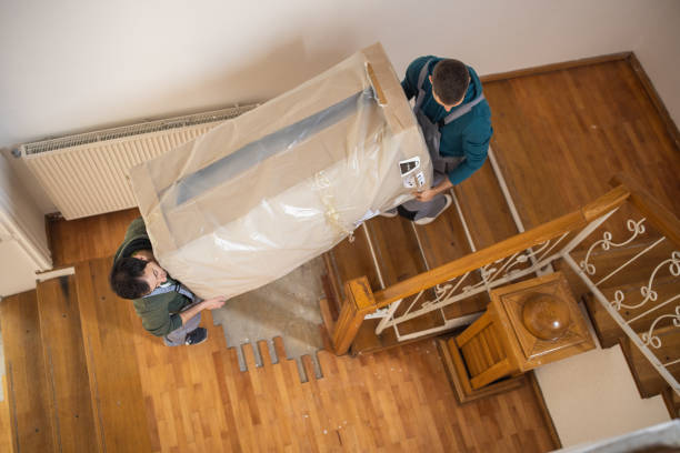 Packers and movers